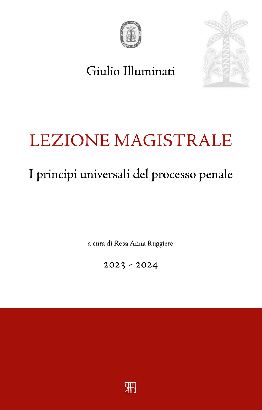 I principi universali del processo penale