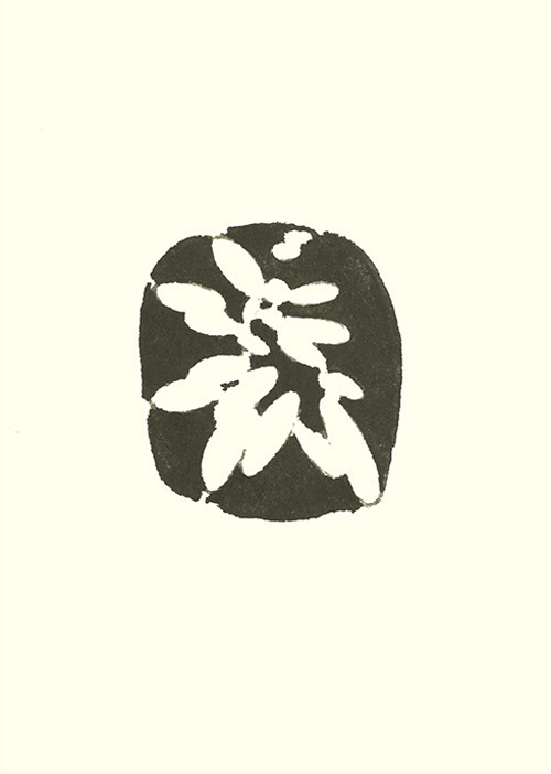 Pitschen Adriano. In senso stretto-In the strict sense