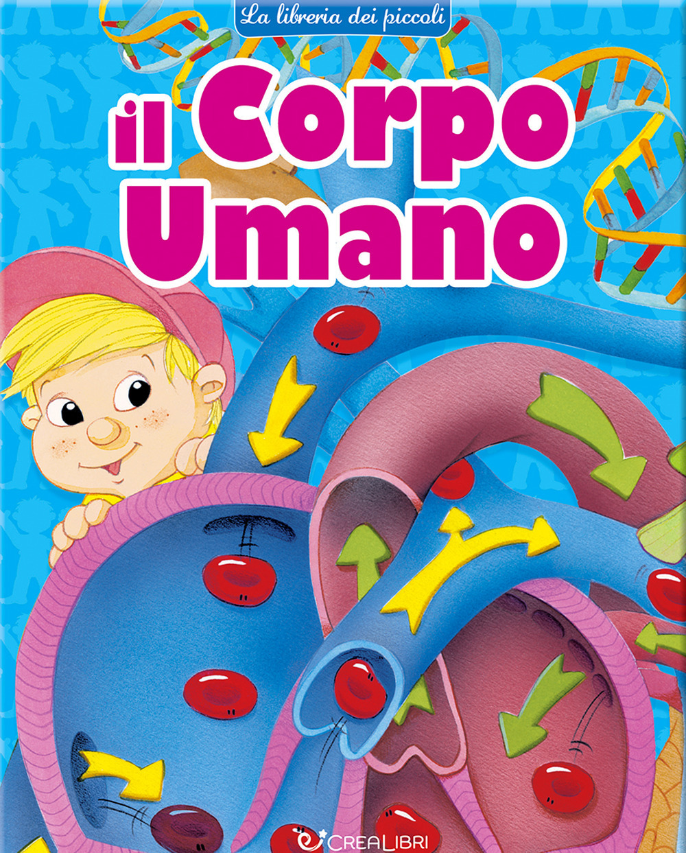 Il corpo umano