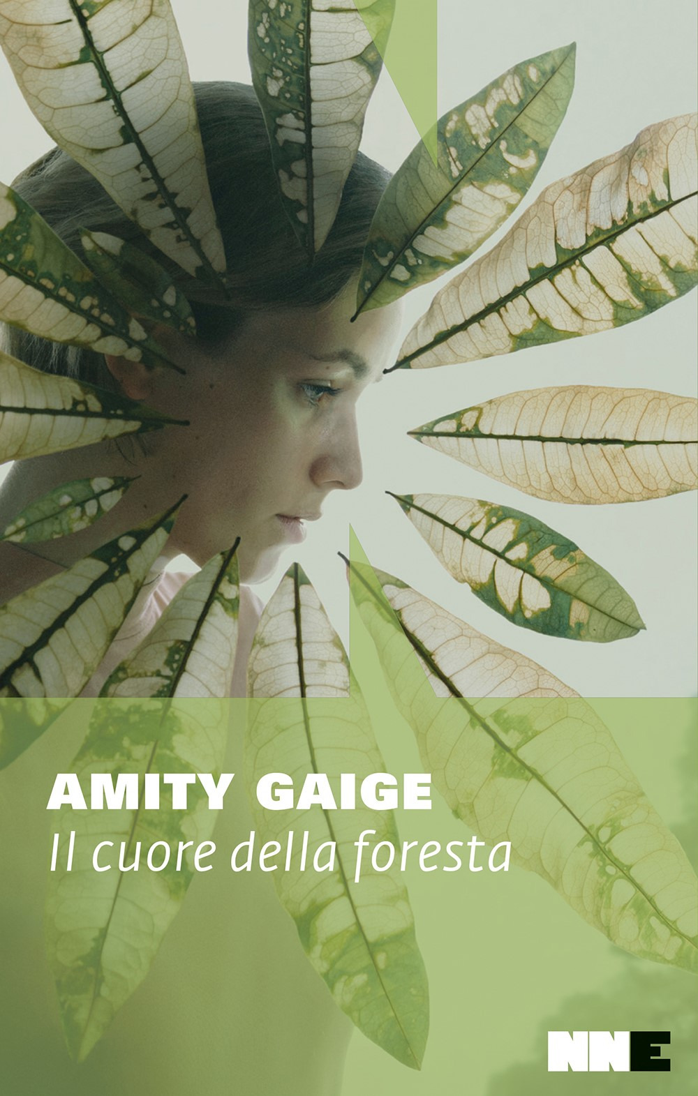 Il cuore della foresta