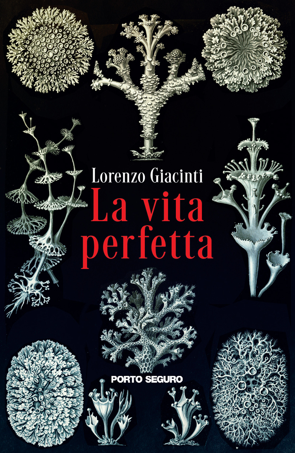 La vita perfetta