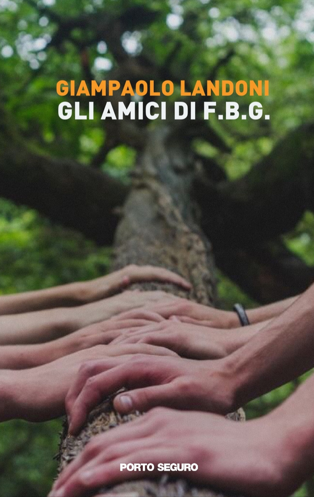 Gli amici di F.B.G.