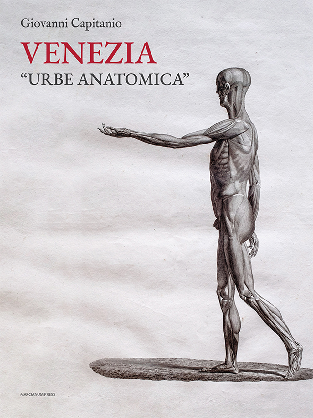 Venezia «urbe anatomica». Itinerari anatomici a Venezia e la Biblioteca della Scuola Grande di San Marco