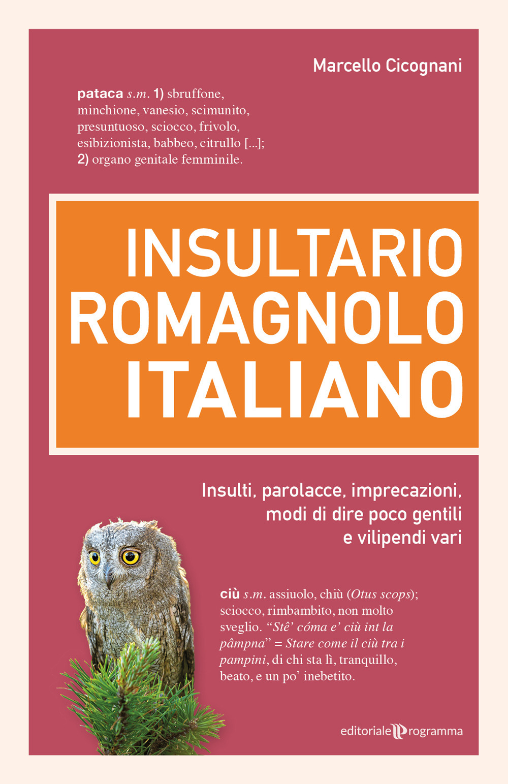 Insultario romagnolo-italiano. Insulti, parolacce, imprecazioni, modi di dire poco gentili e vilipendi vari
