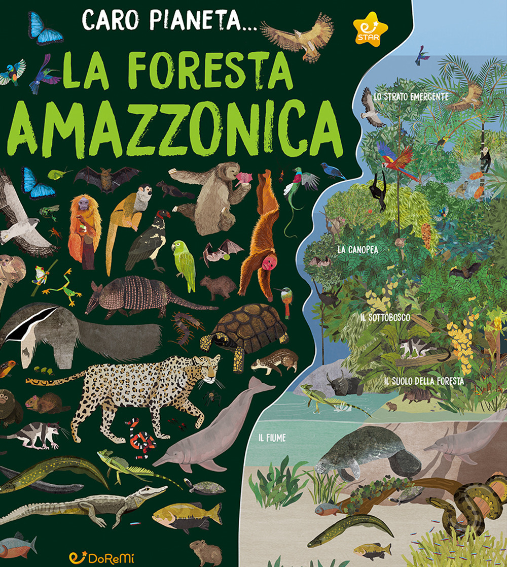 La Foresta Amazzonica