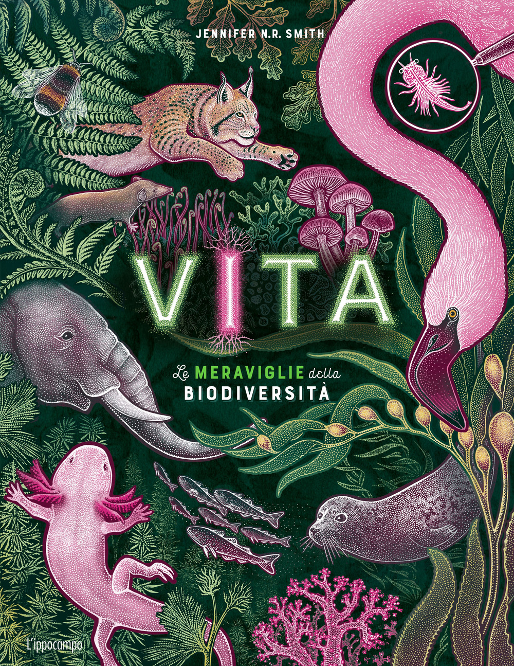 Vita. Le meraviglie della biodiversità. Album scoperte