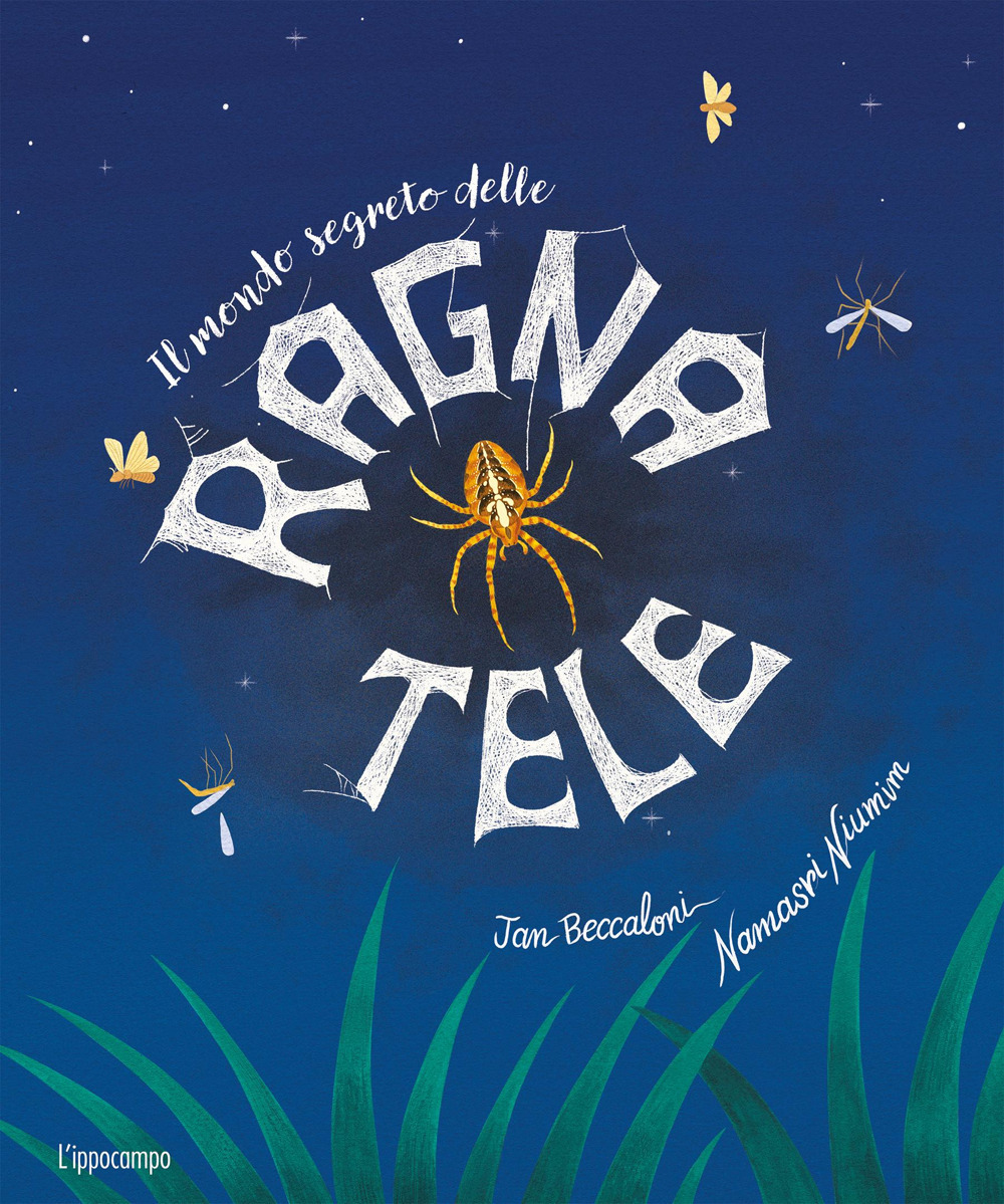 Il mondo segreto delle ragnatele