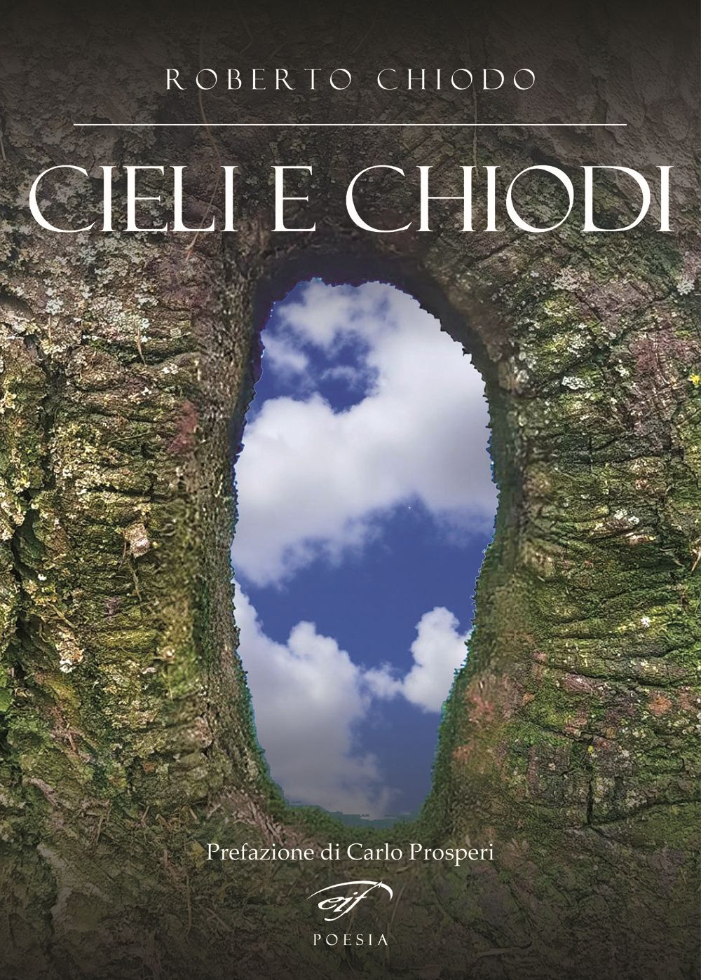 Cieli e chiodi. Poesie scritte dal 2021 al 2024