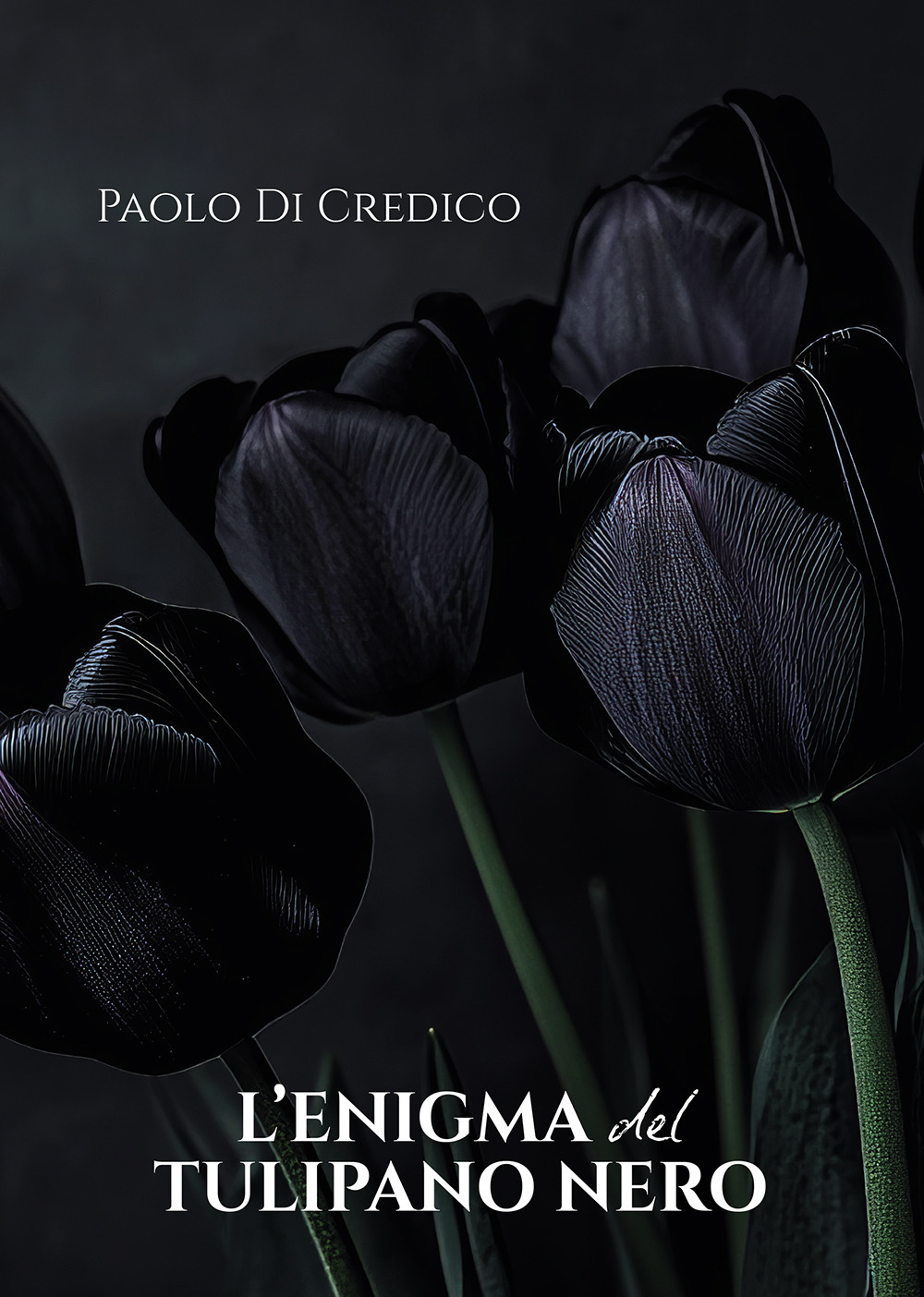 L'enigma del tulipano nero