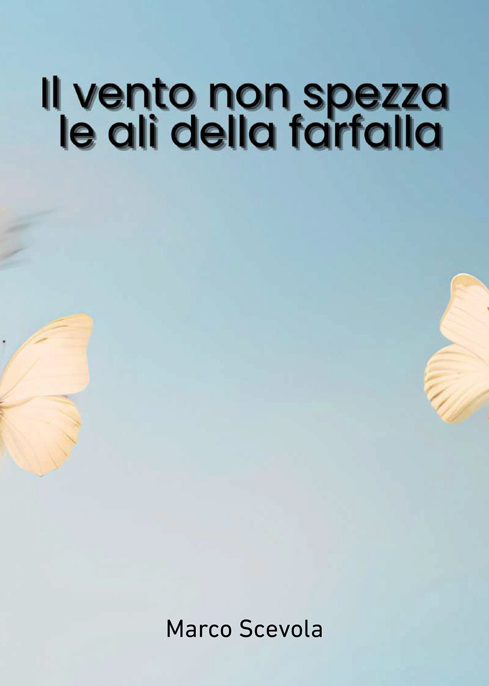 Il vento non spezza le ali della farfalla