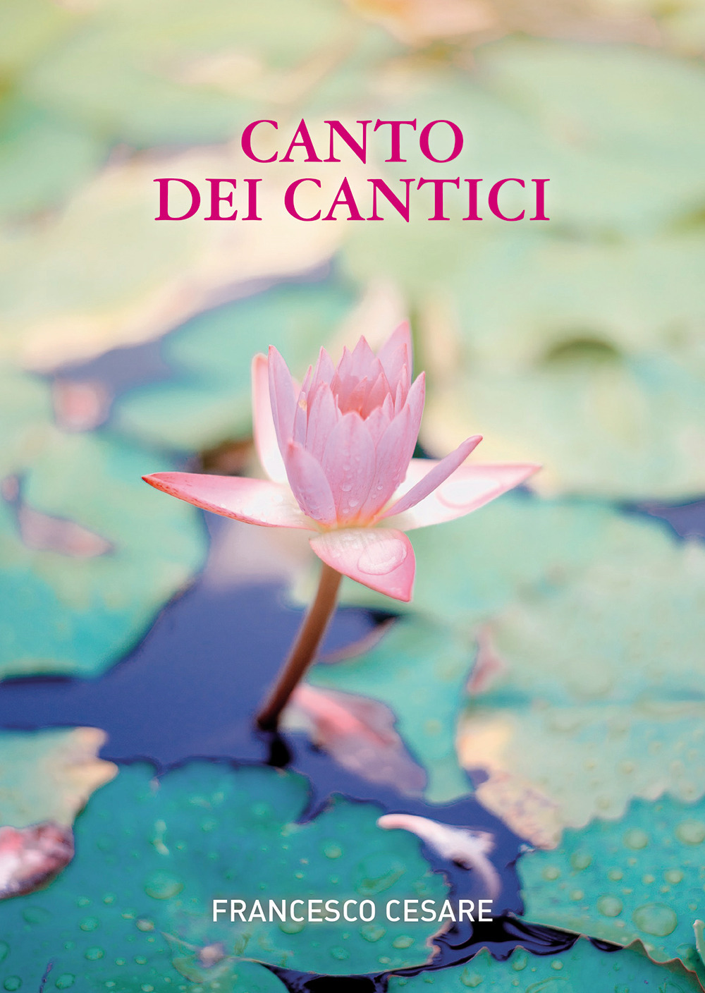 Canto dei cantici