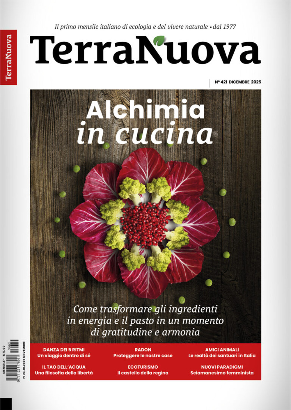 Terra Nuova. Vol. 11: Dicembre