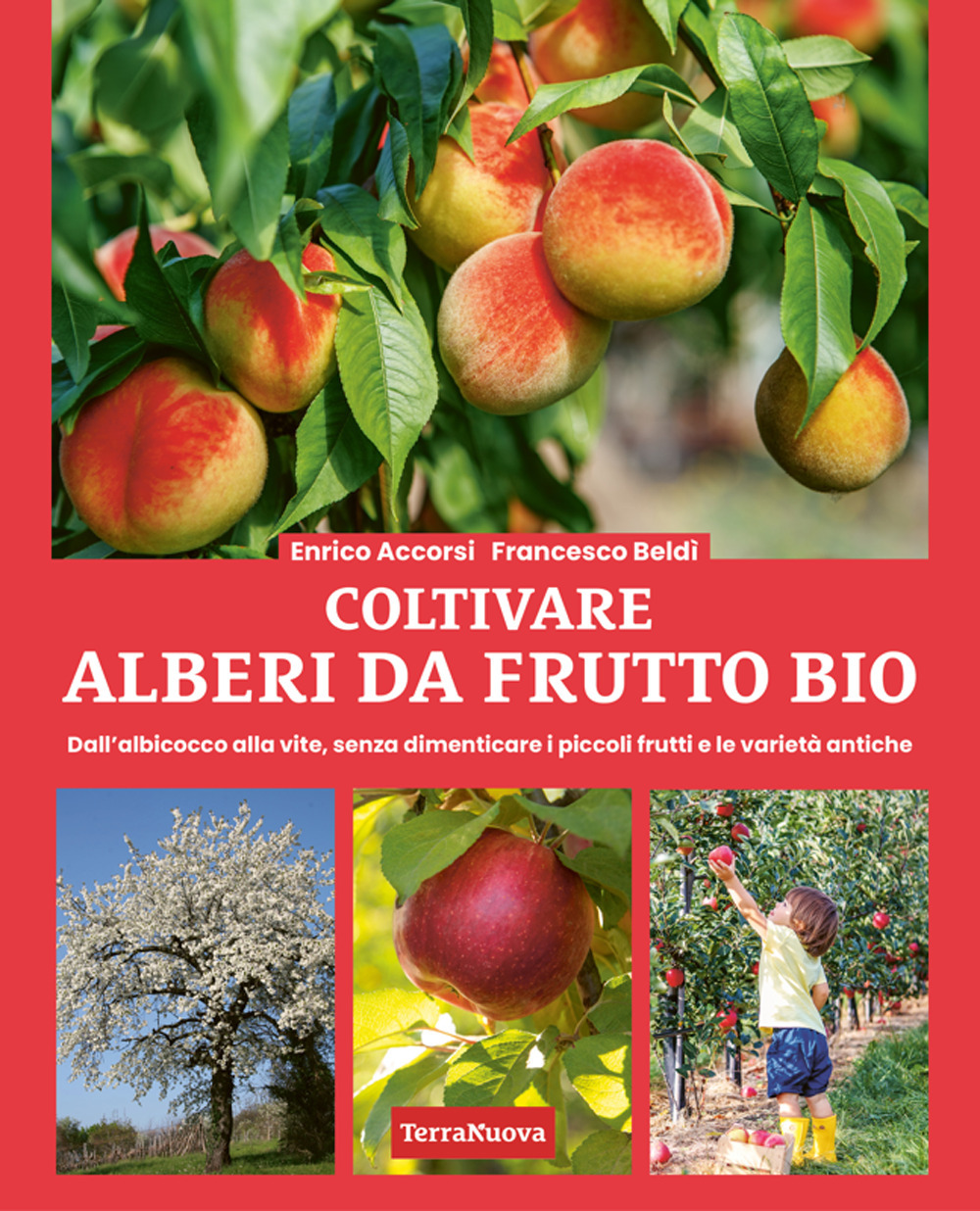 Coltivare alberi da frutto bio. Dall'albicocca alla vite, senza dimenticare i piccoli frutti e le varietà antiche