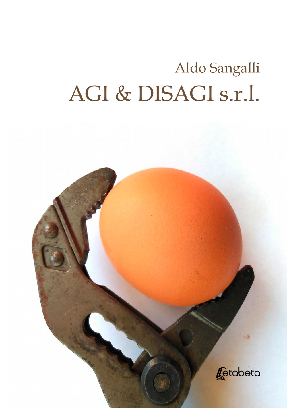 Agi & disagi s.r.l.