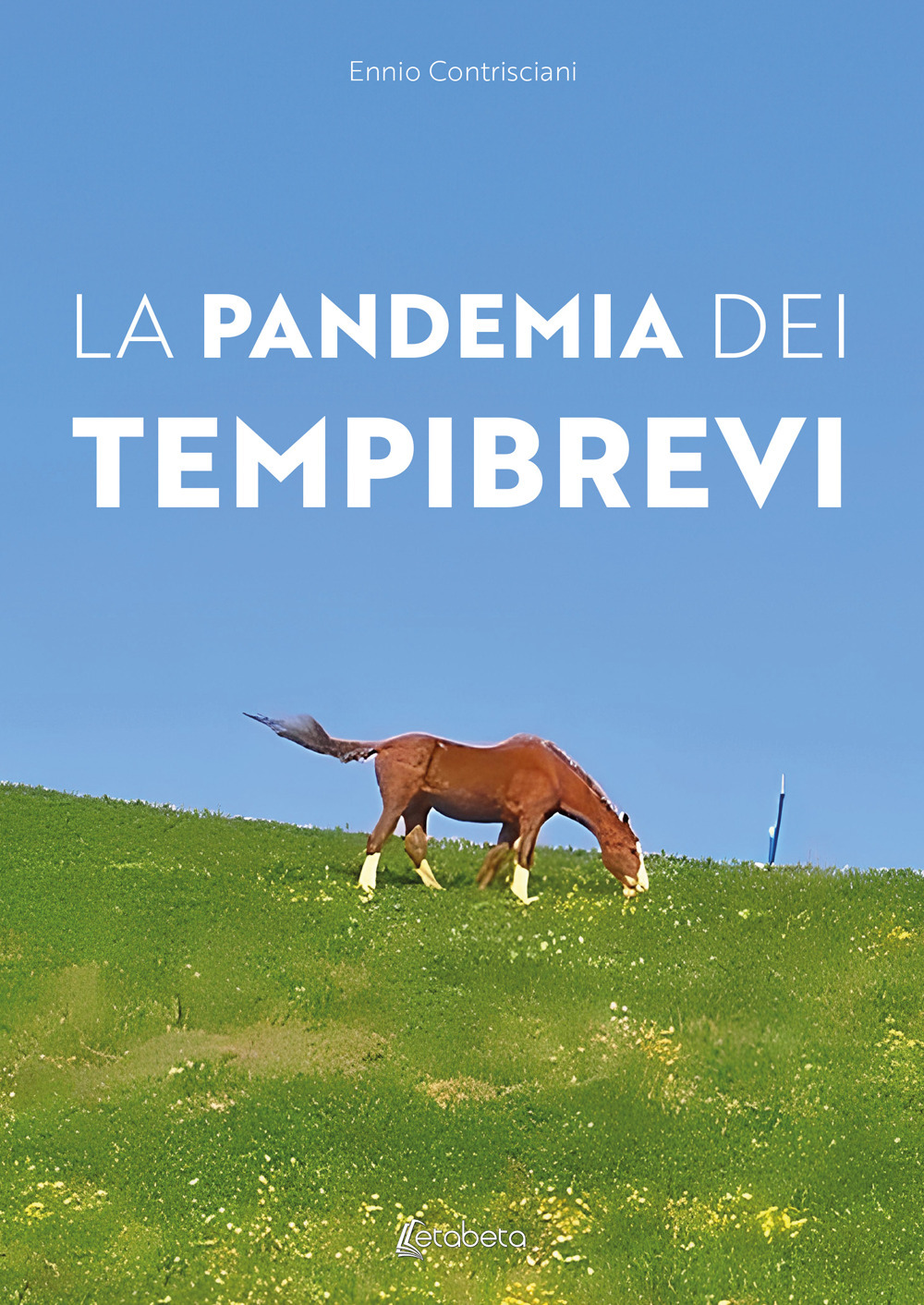 La pandemia dei tempi brevi