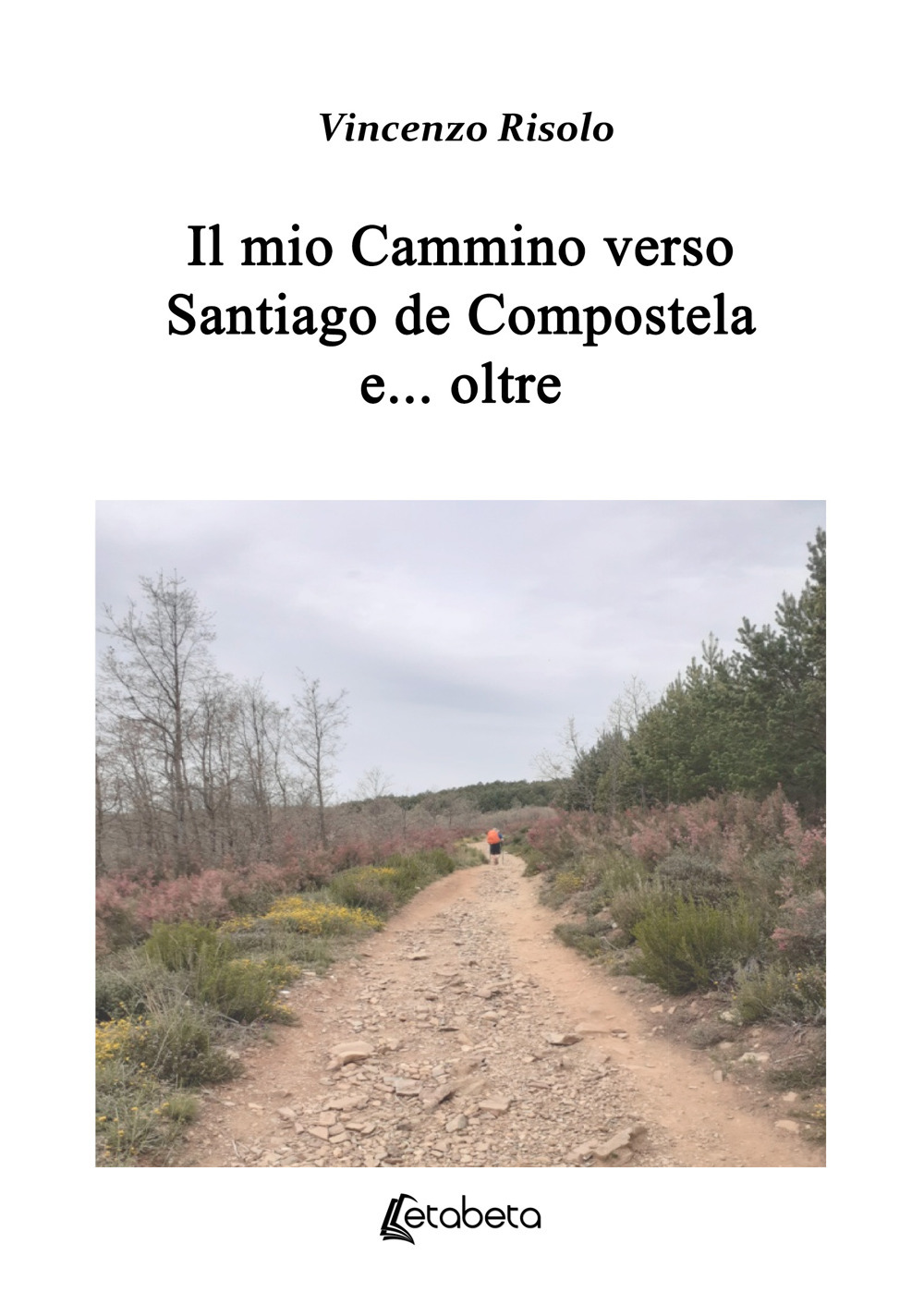 Il mio cammino verso Santiago de Compostela e... oltre