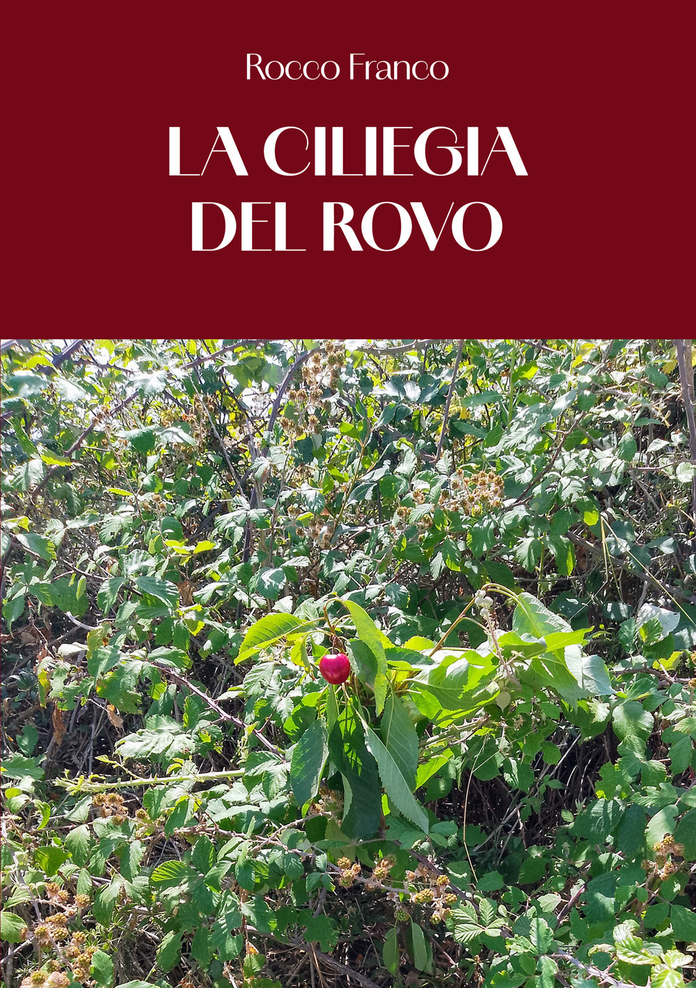 La ciliegia del rovo
