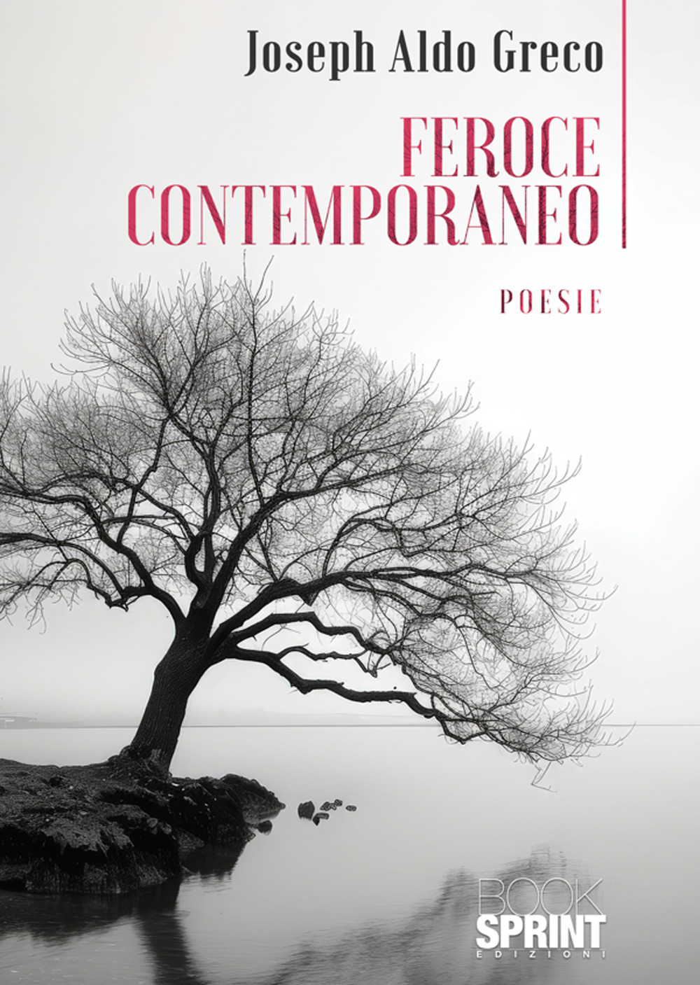 Feroce contemporaneo