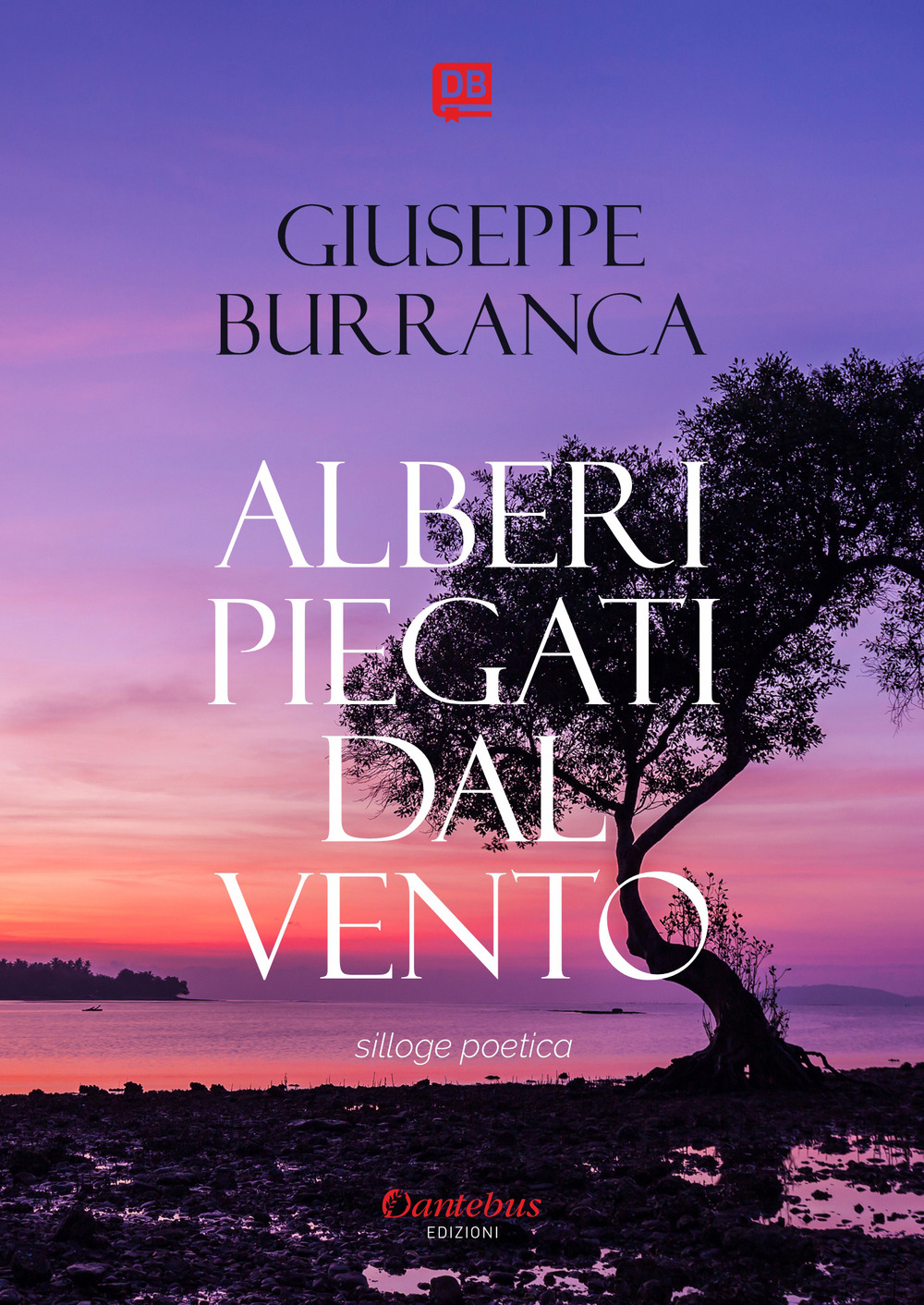 Alberi piegati dal vento