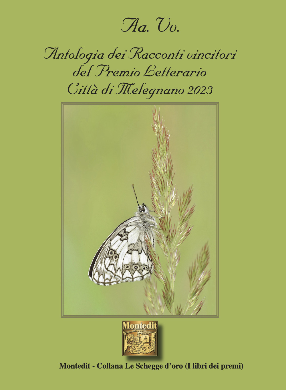 Antologia dei racconti vincitori del premio letterario Città di Melelgnano 2023
