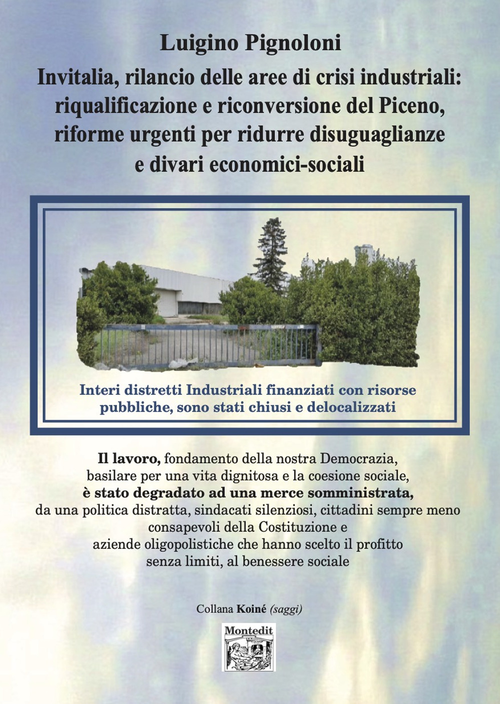 Invitalia, rilancio delle aree di crisi industriali: riqualificazione e riconversione del Piceno, riforme urgenti per ridurre disuguaglianze e divari economici-sociali
