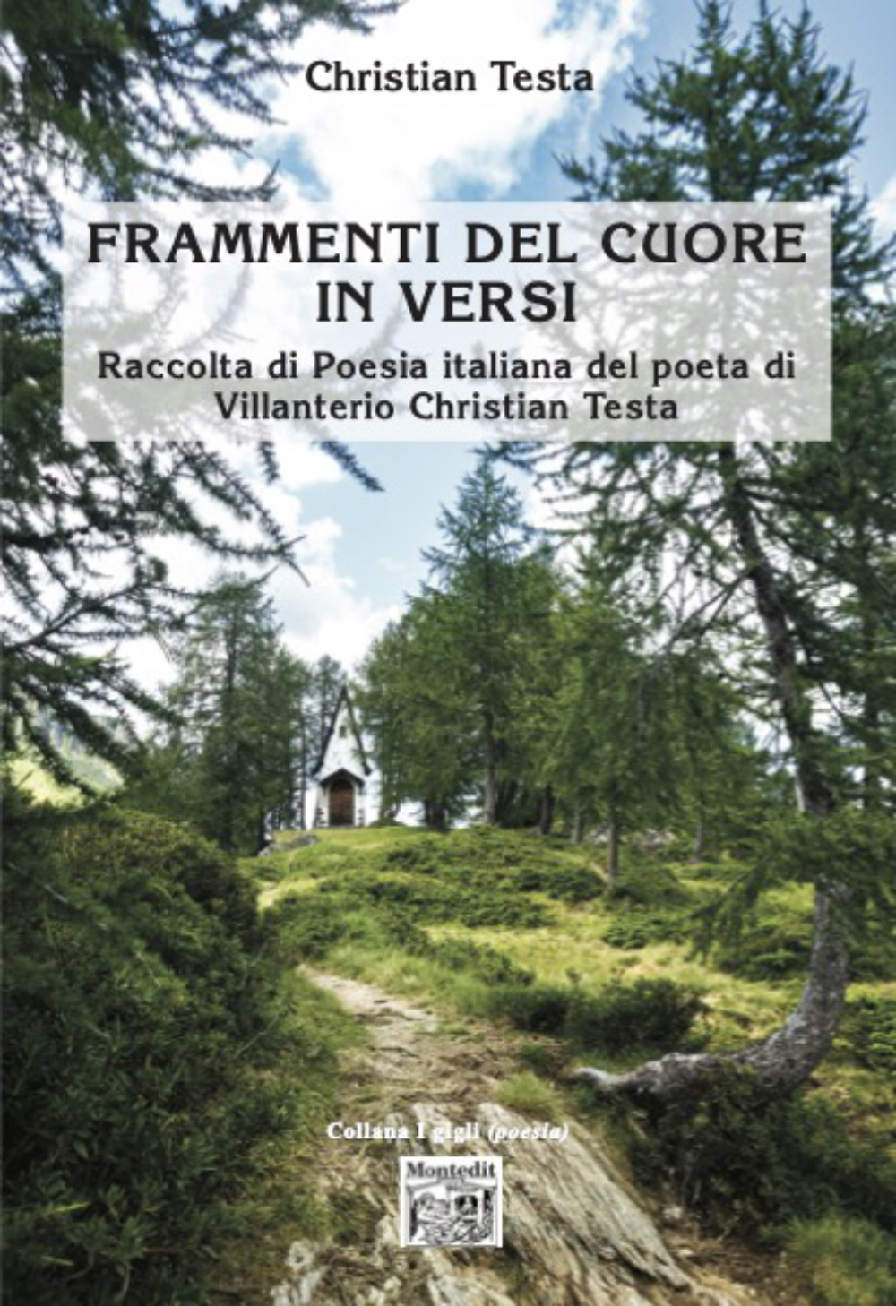 Frammenti del cuore in versi. Raccolta di poesia italiana del poeta di Villanterio Christian Testa