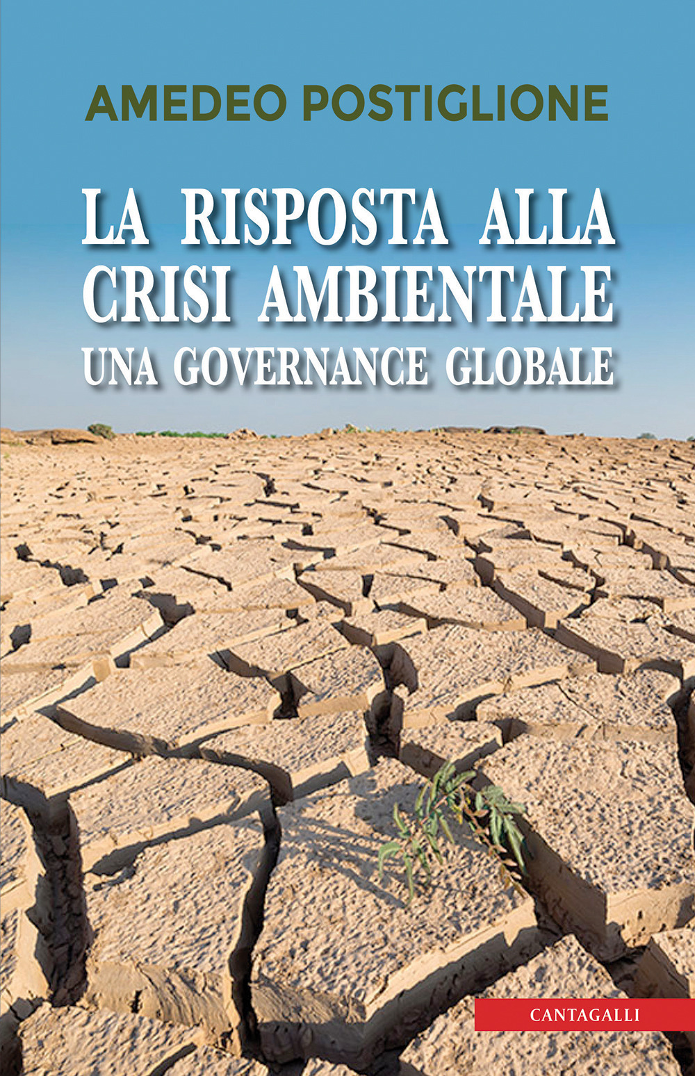 La risposta alla crisi ambientale. Una governante globale