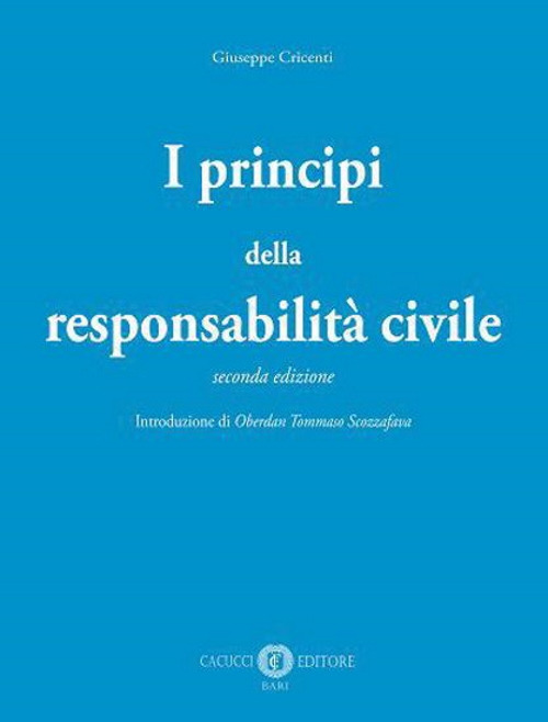 I principi della responsabilità civile