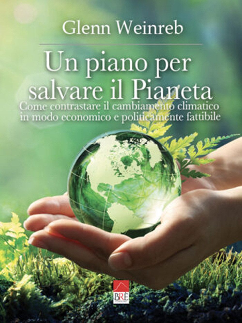 Un piano per salvare il pianeta. Come contrastare il cambiamento climatico in modo economico e politicamente fattibile