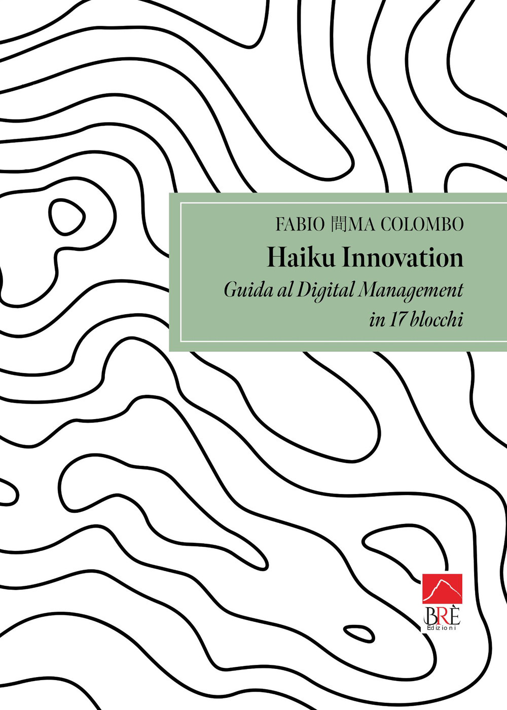Haiku innovation. Guida al digital management