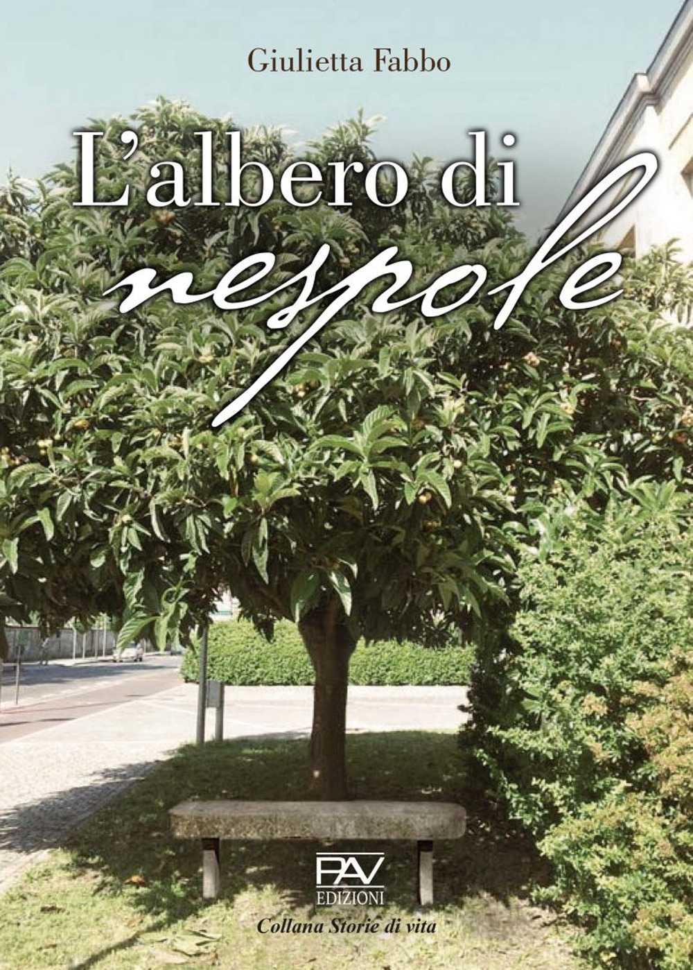 L'albero di nespole