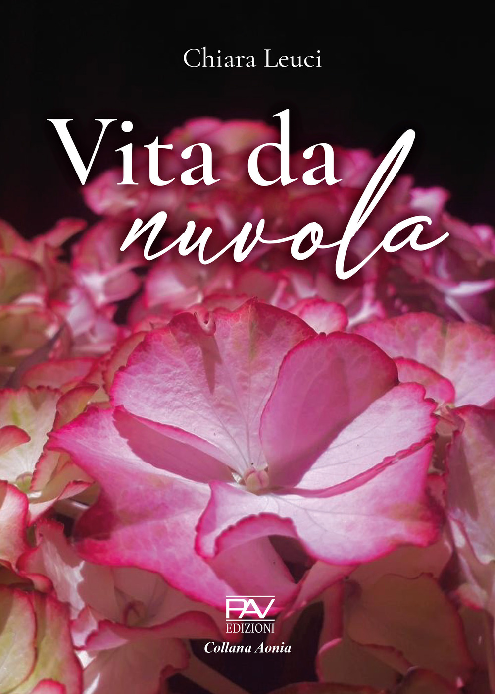 Vita da nuvola