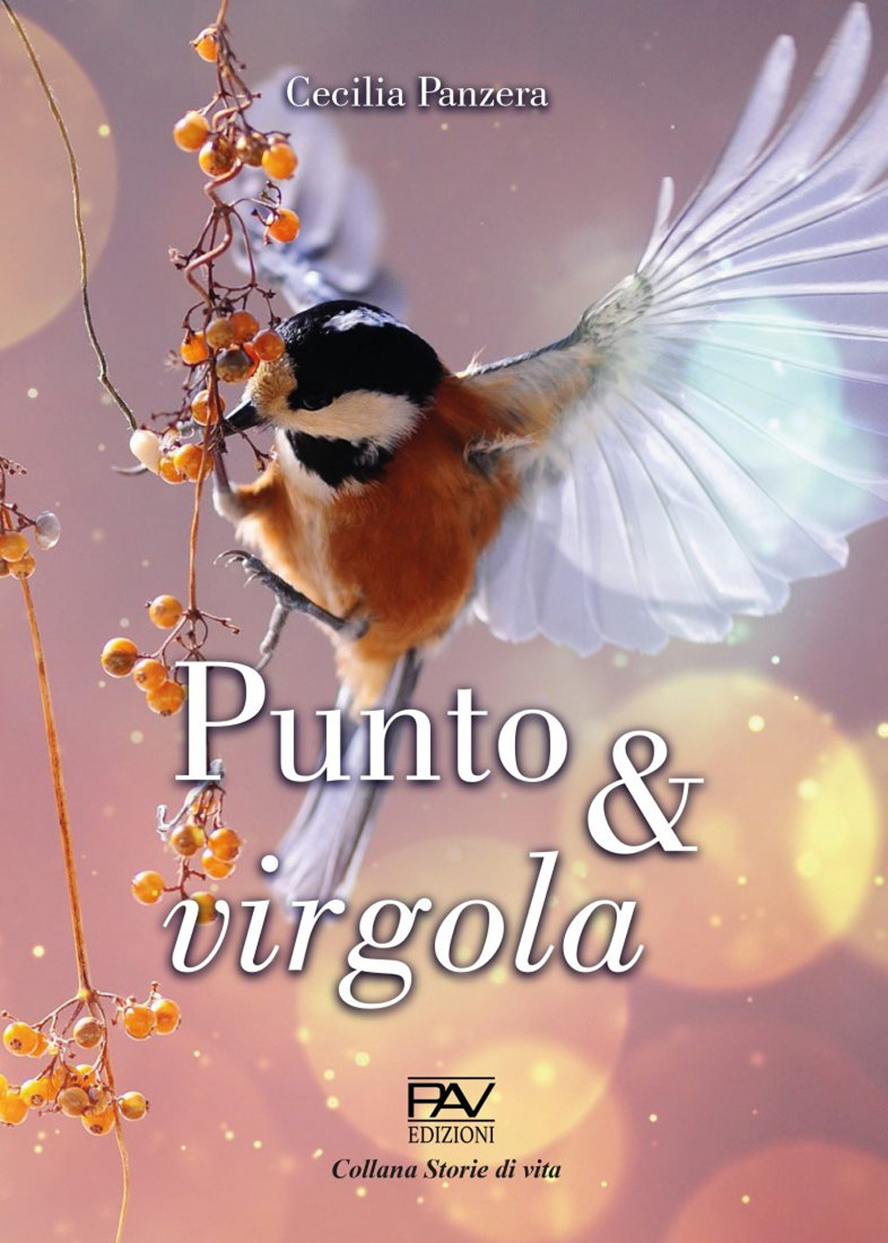 Punto & virgola