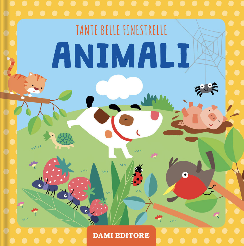 Animali. Tante belle finestrelle