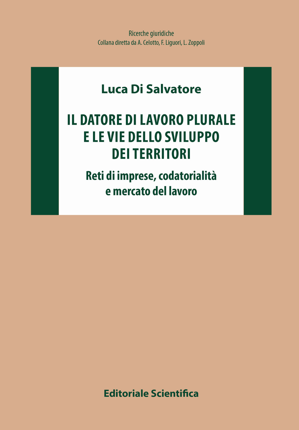 Il datore di lavoro plurale e le vie dello sviluppo dei territori. Reti di imprese, codatorialità e mercato del lavoro