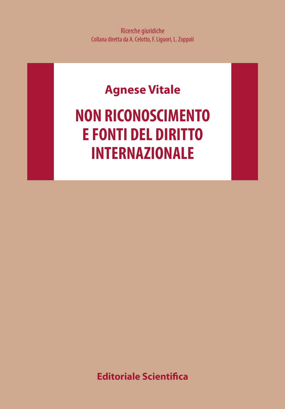 Non riconoscimento e fonti del diritto internazionale