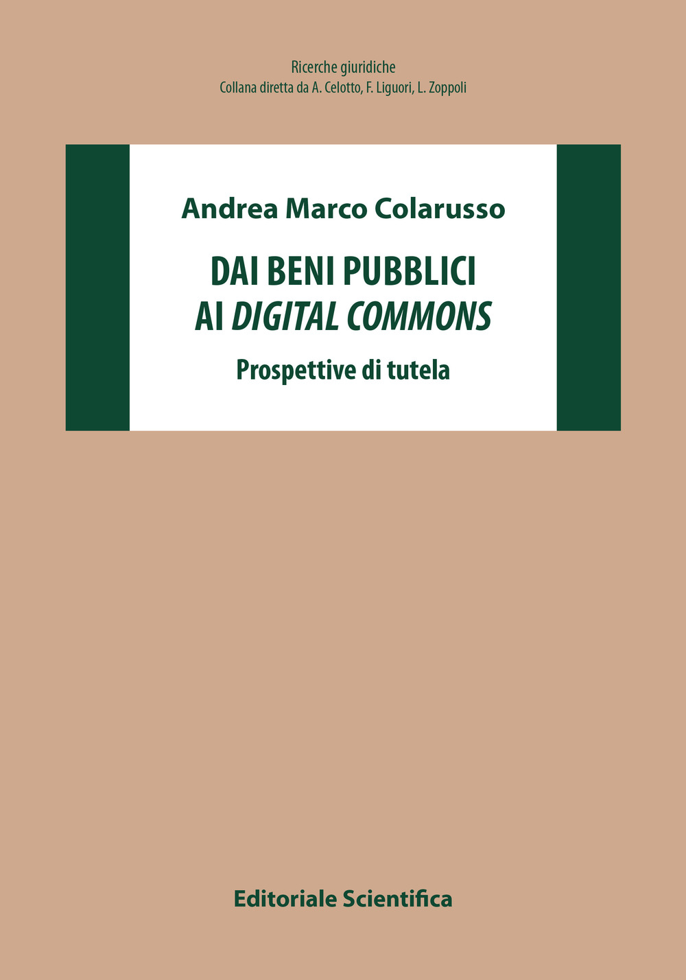 Dai beni pubblici ai digital commons. Prospettive di tutela