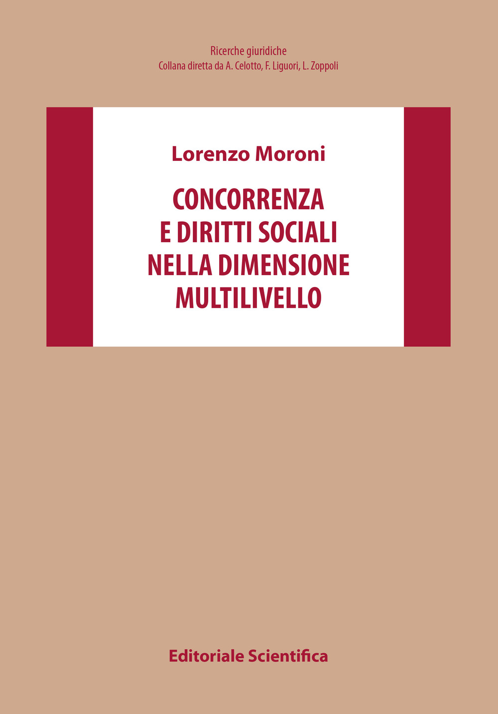 Concorrenza e diritti sociali nella dimensione multilivello