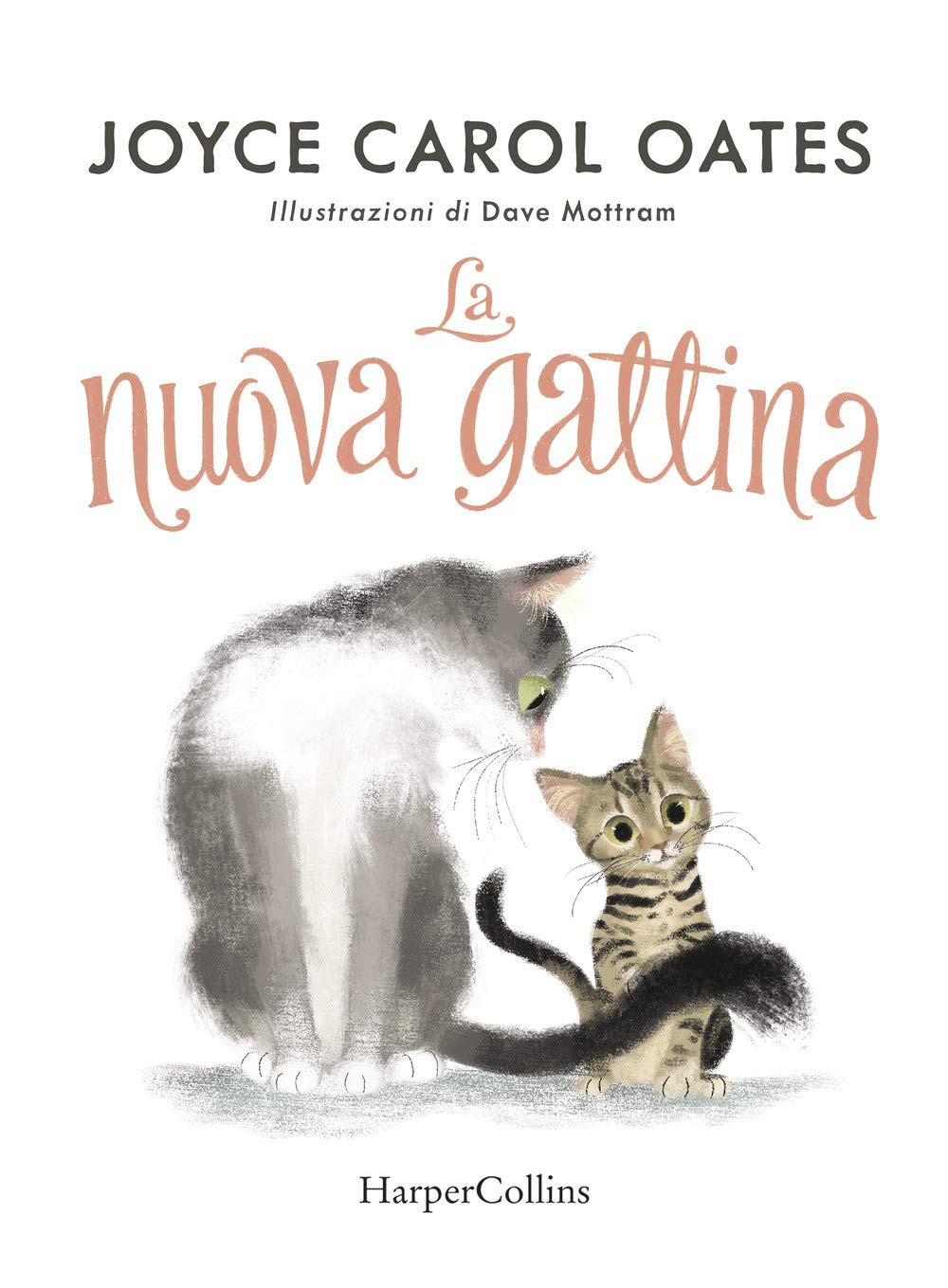 La nuova gattina