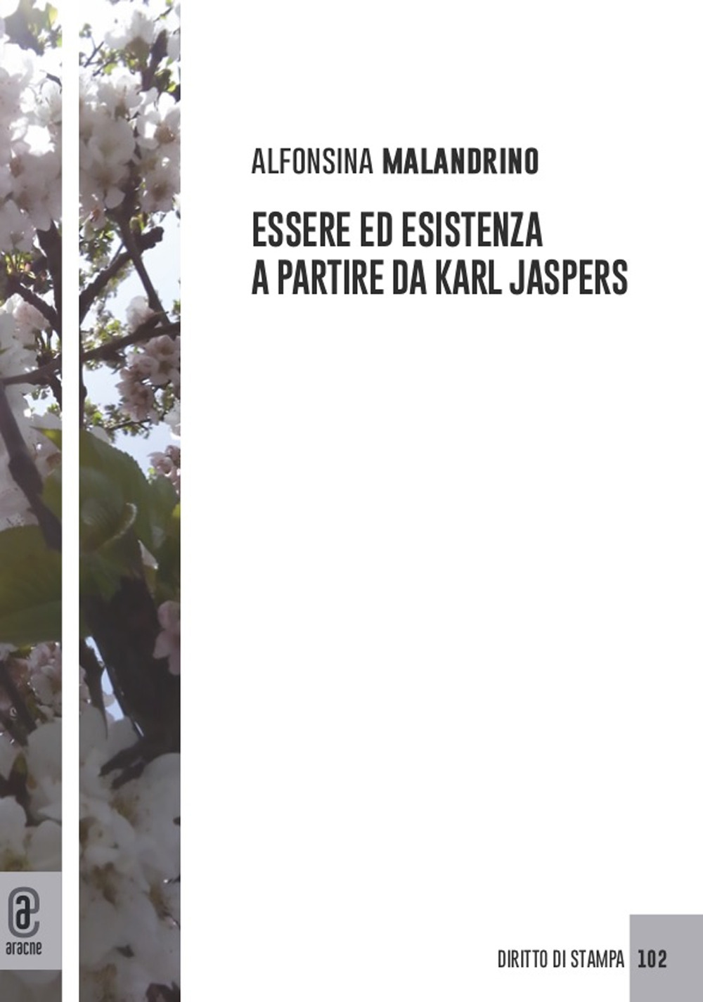 Essere ed esistenza a partire da Karl Jaspers