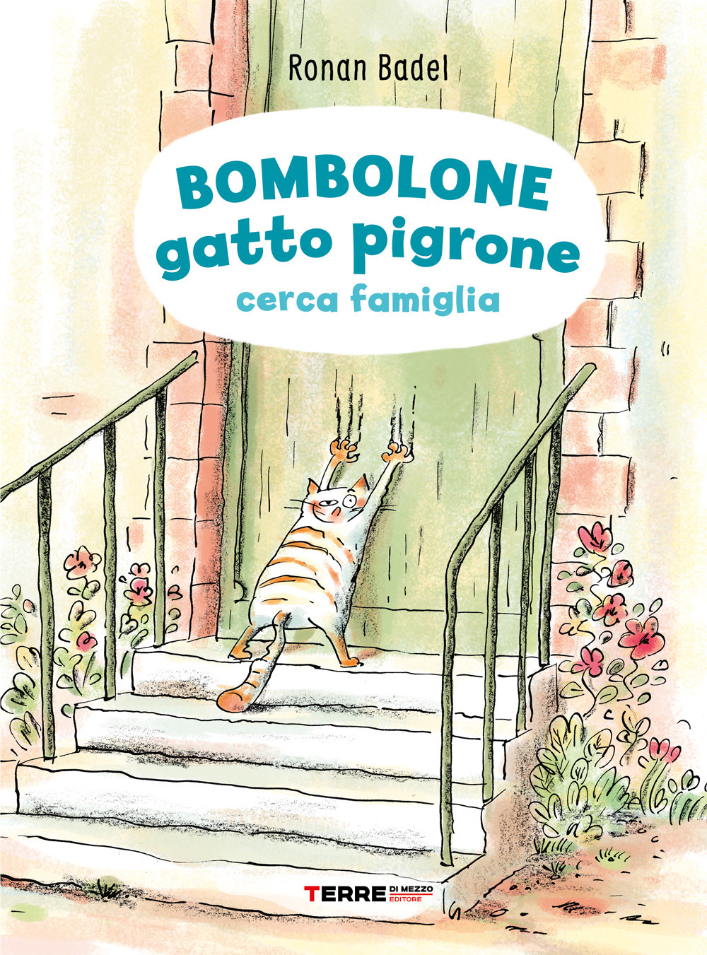 Bombolone gatto pigrone cerca famiglia