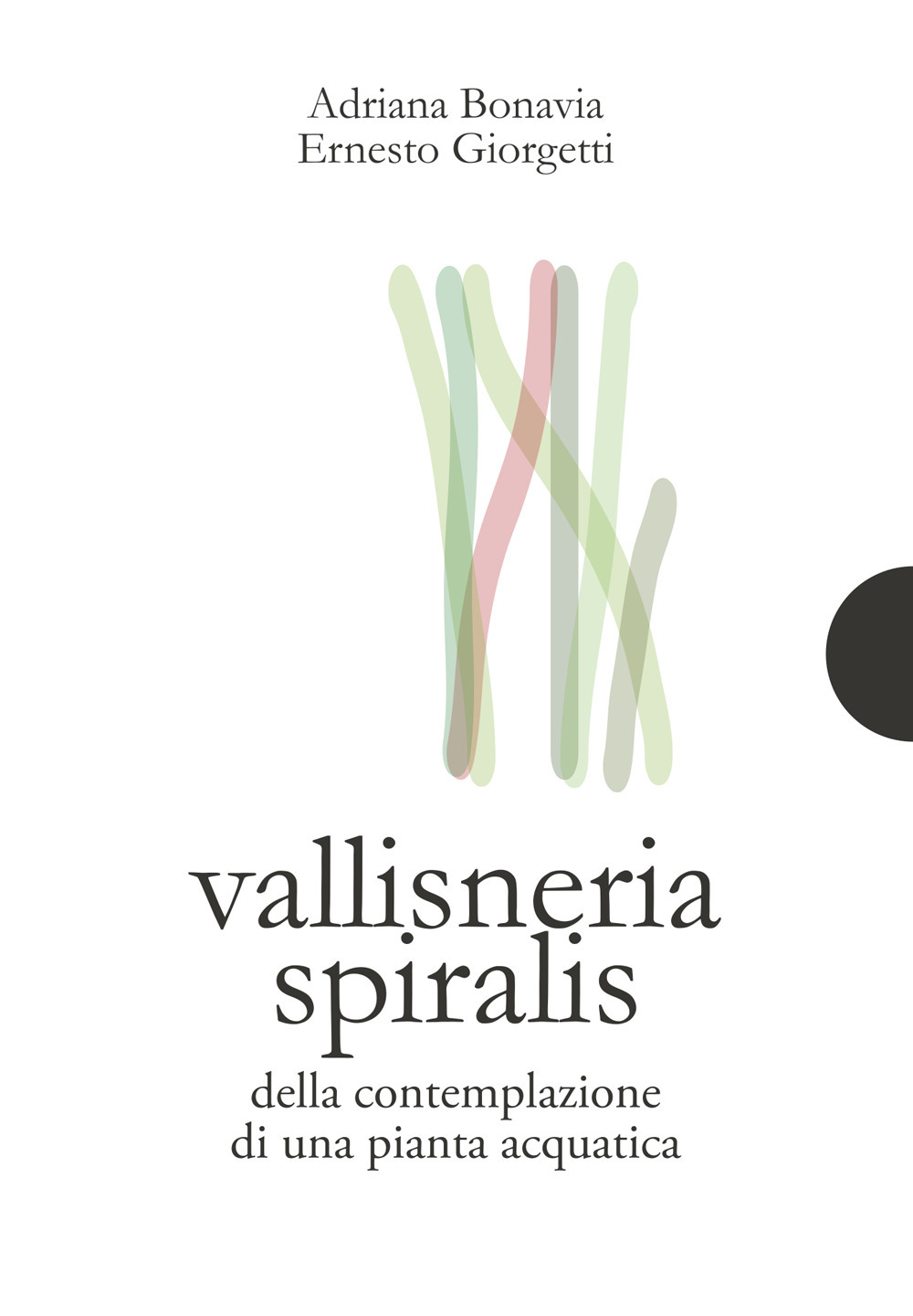 Vallisneria spiralis. Della contemplazione di una pianta acquatica