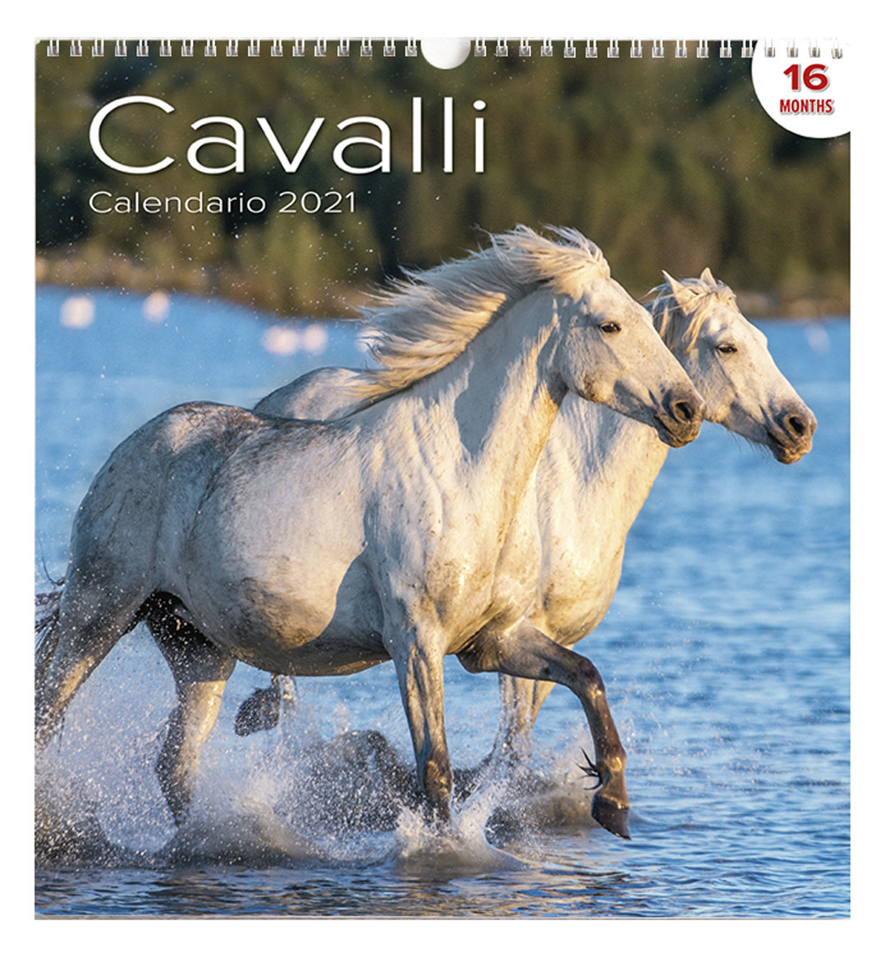 Calendario Grande Cavalli