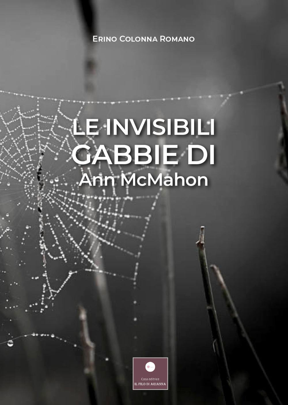 Le invisibili gabbie di Ann McMahon