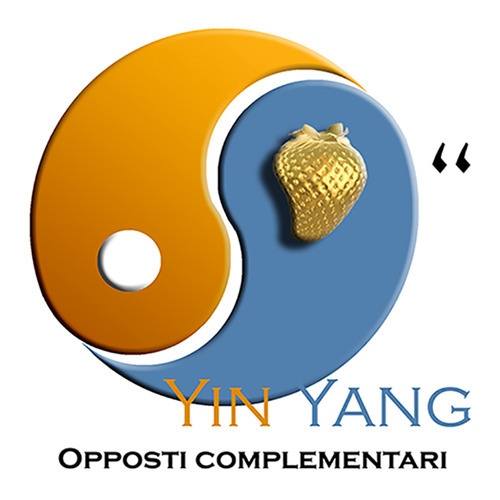 Yin Yang. Opposti complementari