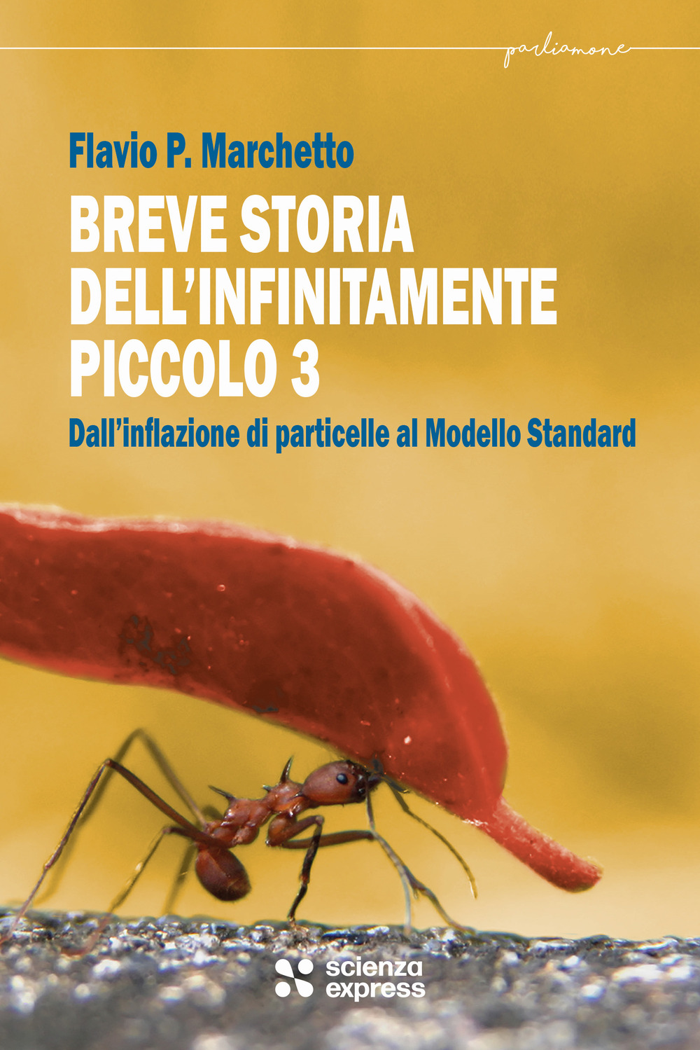 Breve storia dell'infinitamente piccolo. Vol. 3