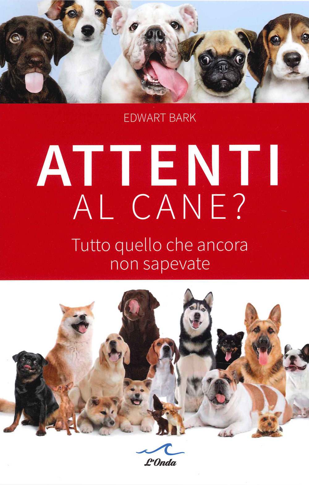 Attenti al cane? Tutto quello che ancora non sapevate