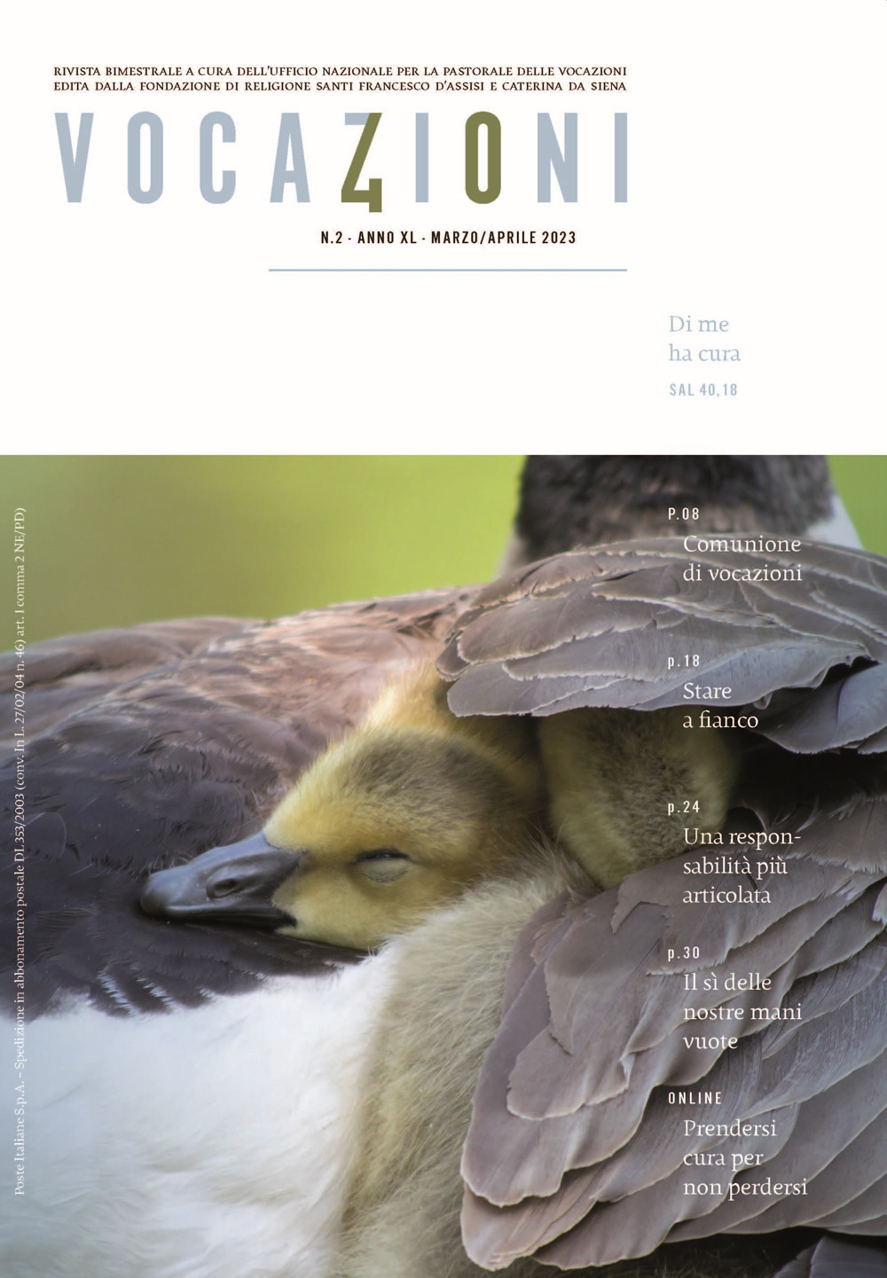 Vocazioni. Vol. 2: Di me ha cura. Sal. 40.18