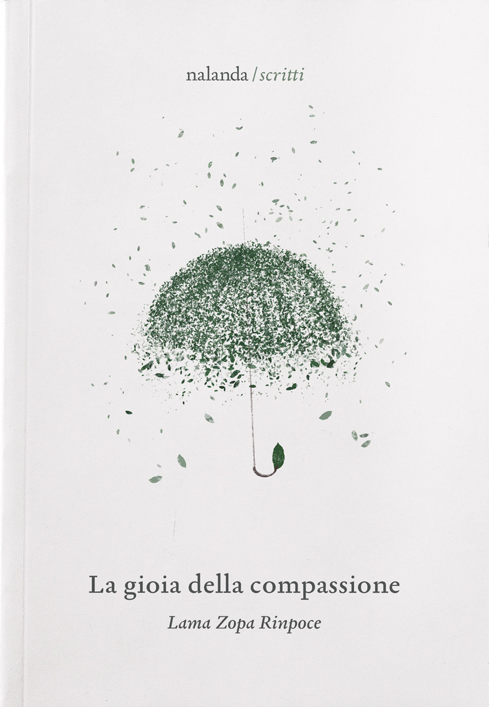 La gioia della compassione