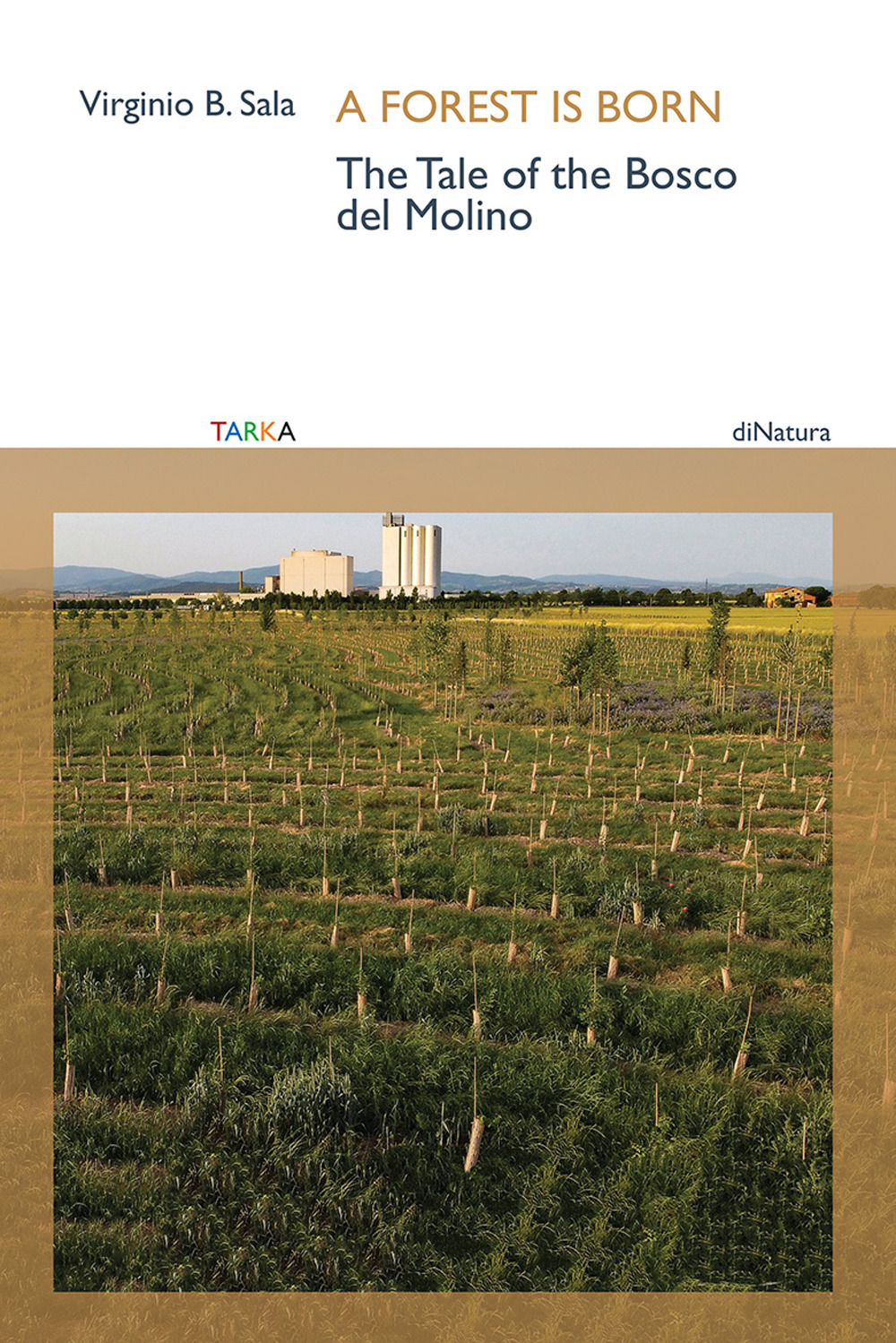 A forest is born. The tale of the Bosco del Molino